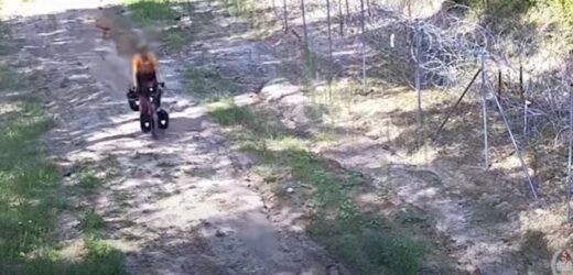 Turysta z Niemiec ukarany za jazdę po pasie granicznym