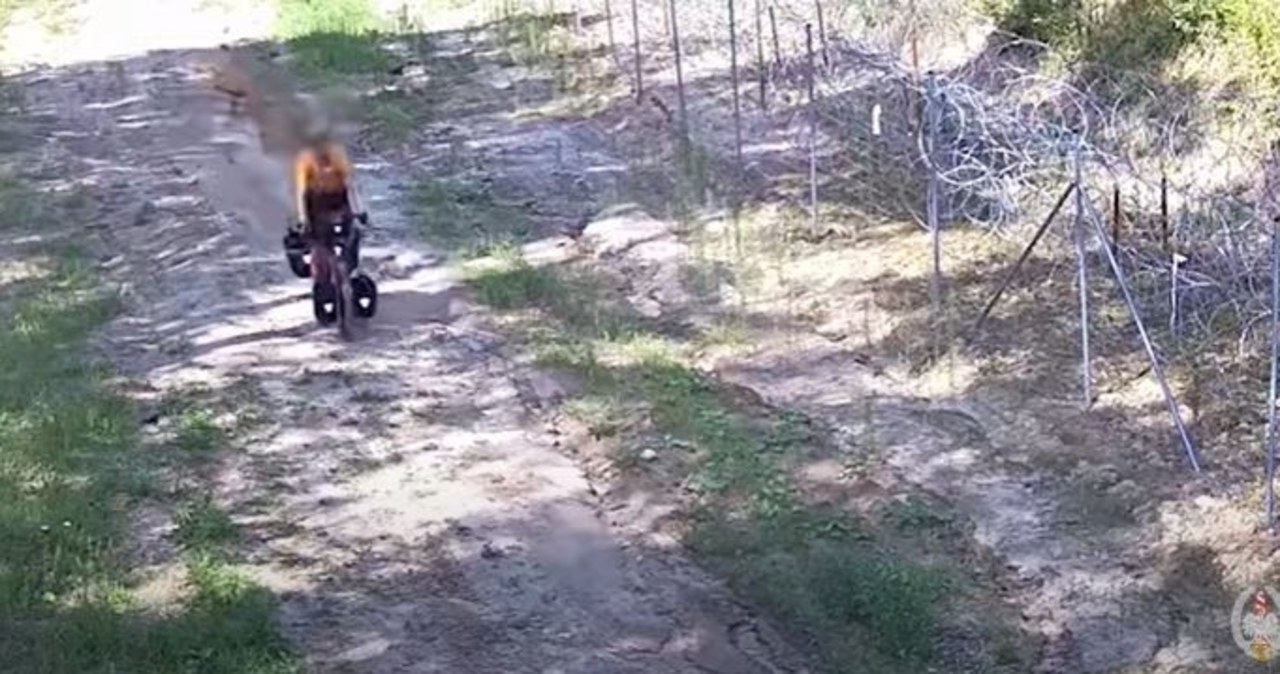 Turysta z Niemiec ukarany za jazdę po pasie granicznym