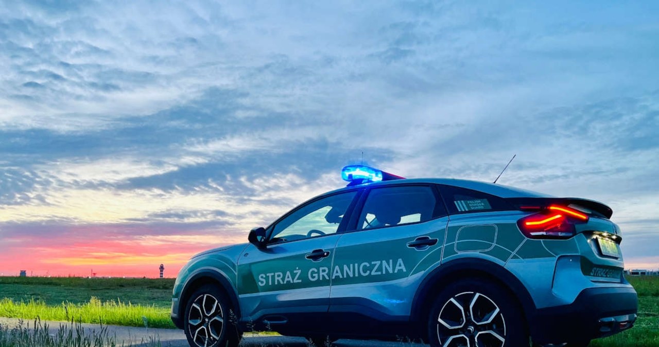 Za 200 euro kupił prawo jazdy