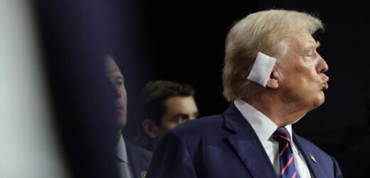 Kuloodporny Trump i jego zabandażowani zwolennicy