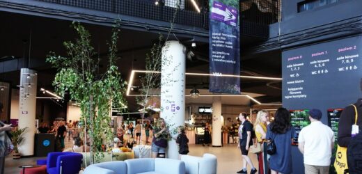 mBank Nowe Horyzonty: Norweskie, islandzkie i szwajcarskie kino opanuje Wrocław