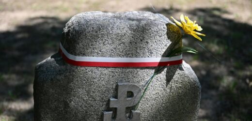 ​Na cmentarzu Osobowickim powstanie kwatera żołnierzy podziemia antykomunistycznego