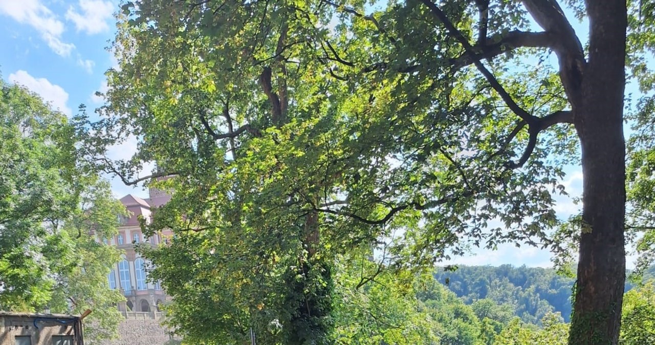 Zawalił się mur przy zamku Książ