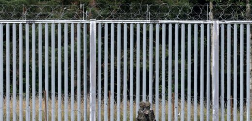 Zabójca polskiego żołnierza zidentyfikowany przez służby