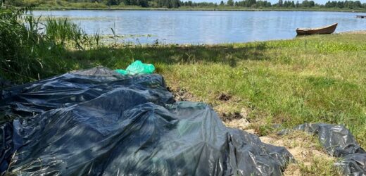 Tysiące martwych ryb w foliowych workach na plaży w Lubelskiem