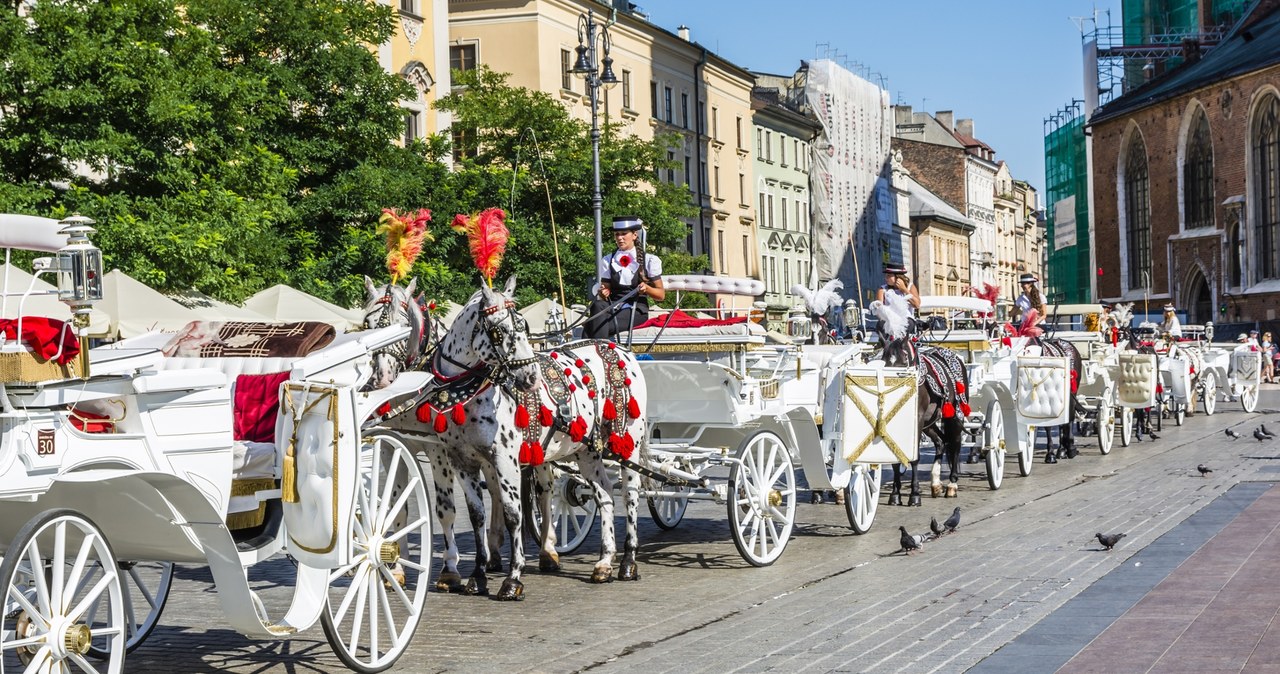 Dorożki nie wyjadą na Rynek Główny w Krakowie