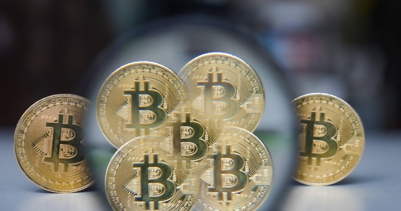 Donald Trump wynosi kurs bitcoina. Jak to możliwe?