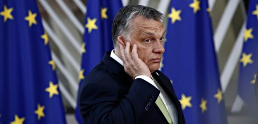 ​Impas w sprawie bojkotu Węgier. Polska proponuje spotkanie we Lwowie