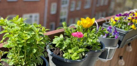 Masz piękny balkon i mieszkasz w Katowicach? Możesz wygrać nawet 2,5 tys. złotych