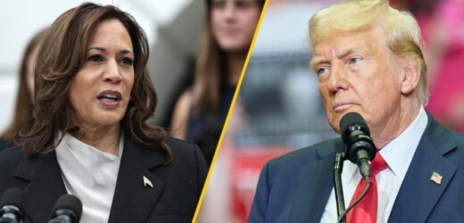 Złe wieści dla Trumpa. Harris prowadzi w sondażu