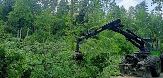 Pomorze po nawałnicy, leśnicy wciąż szacują starty