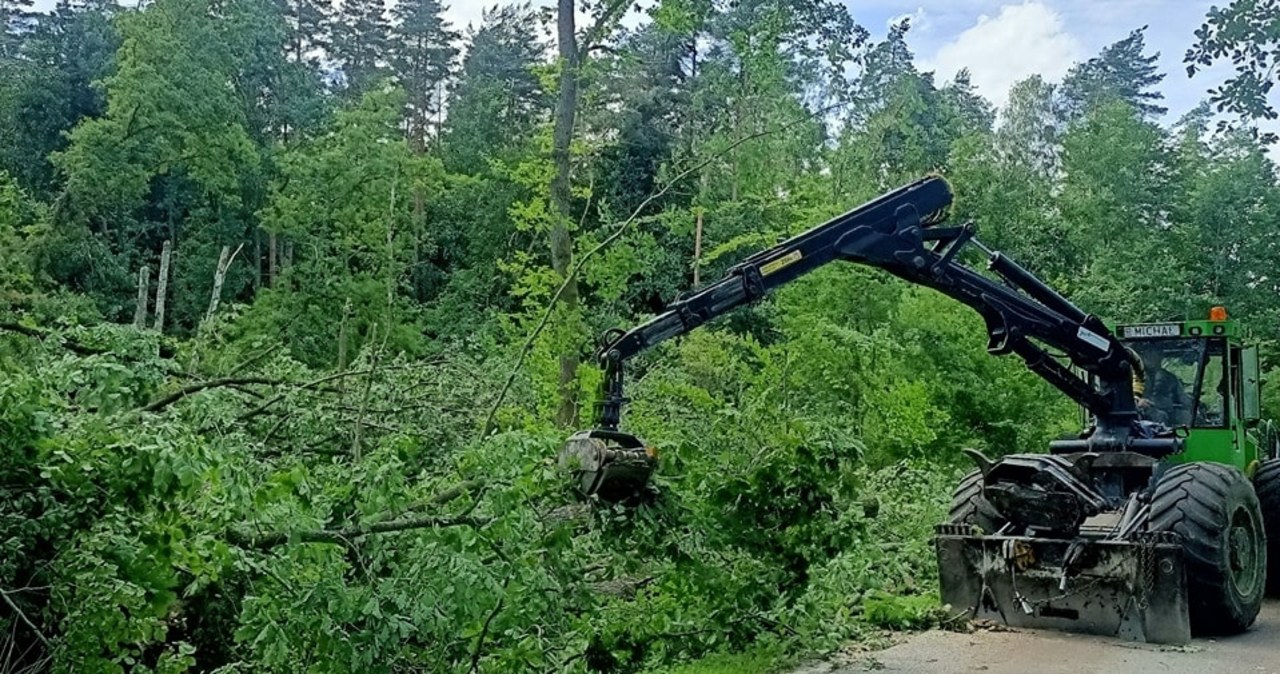 Pomorze po nawałnicy, leśnicy wciąż szacują starty