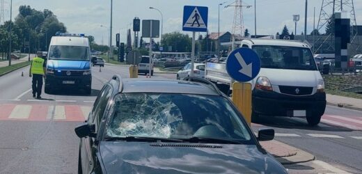 19-latka w bmw potraciła na pasach dwoje dzieci