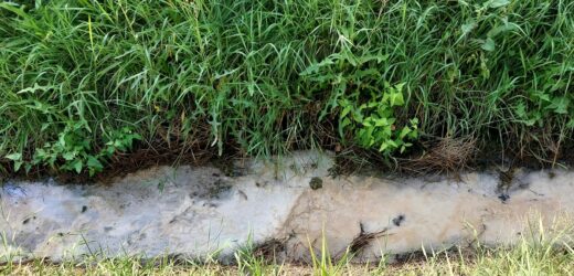 Zbadają skład odcieków z Białych Mórz