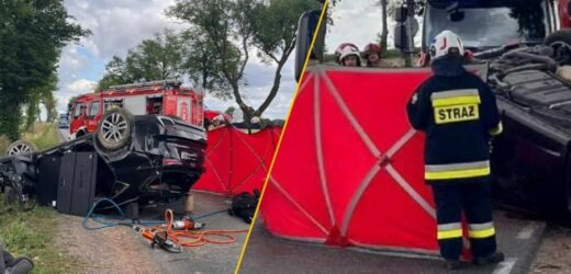 Tragedia pod Płockiem. Kierowca nie żyje, ranna kobieta i dwoje dzieci
