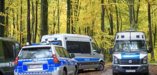 Atak w Lesie Bródnowskim. Wiadomo, jakie zarzuty usłyszą nastolatkowie