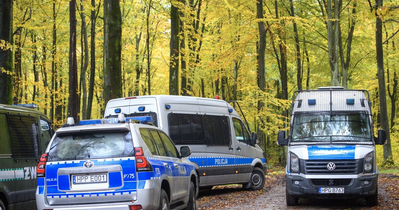 Atak w Lesie Bródnowskim. Wiadomo, jakie zarzuty usłyszą nastolatkowie