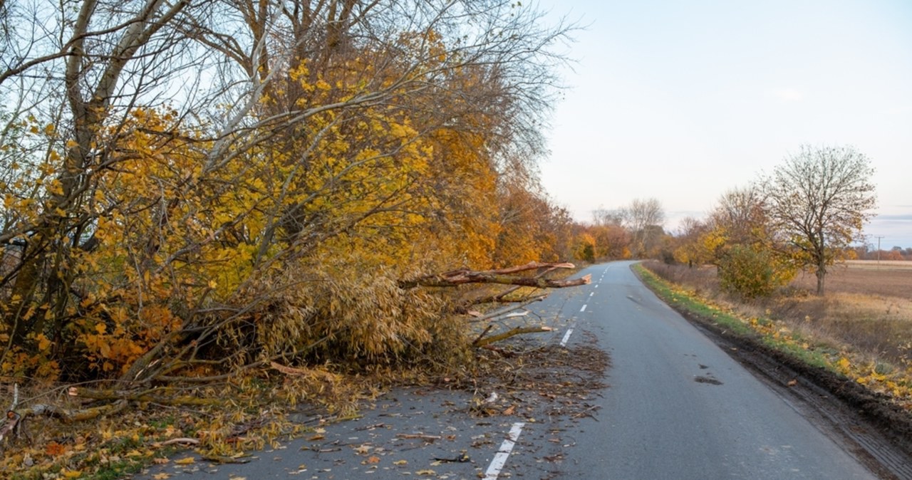 Wichury w Polsce. Ponad 100 tys. odbiorców bez prądu