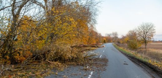 Wichury w Polsce. Ponad 134 tys. odbiorców bez prądu