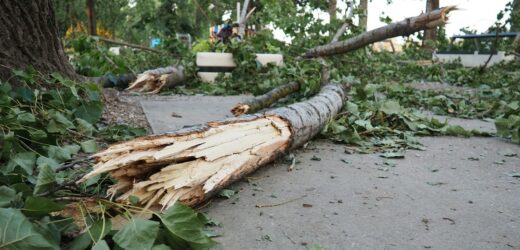 Nawałnice nad Polską. Dwie osoby nie żyją. Tysiące gospodarstw bez prądu
