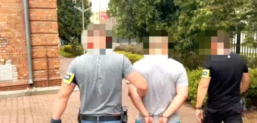 Ponad 700 kg narkotyków nie trafi na rynek. Wytwórnia zlikwidowana