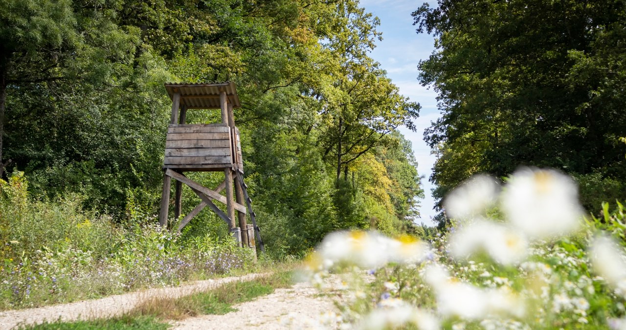Szykowali się na polowanie. Przypadkowy wystrzał zabił 29-latka