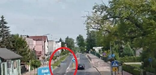 W drodze na ryby strzelał z wiatrówki do przystanków [FILM]