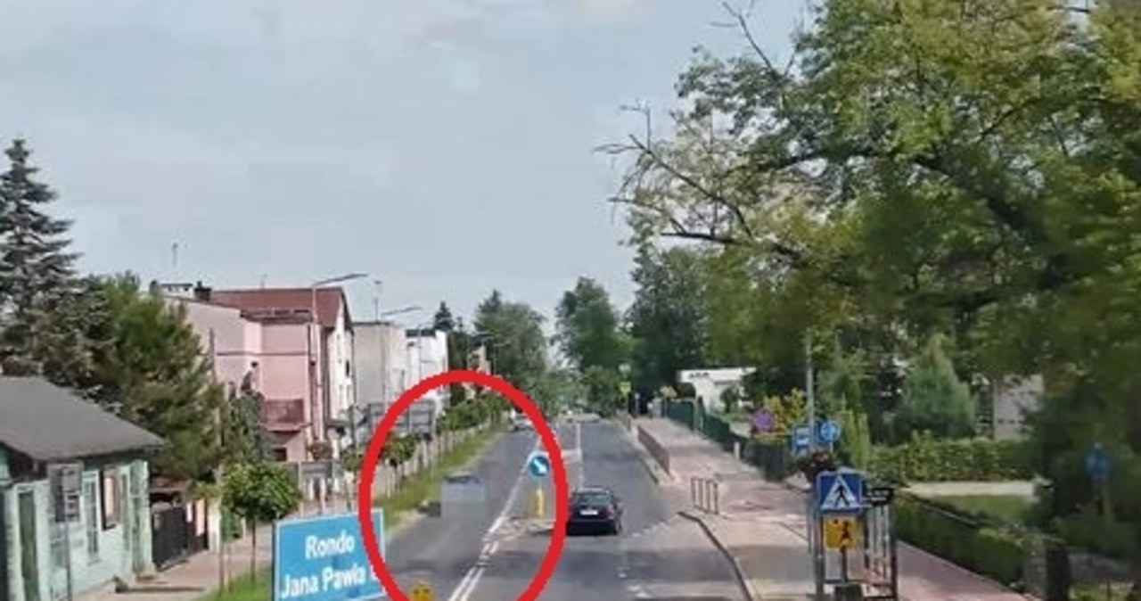 W drodze na ryby strzelał z wiatrówki do przystanków [FILM]