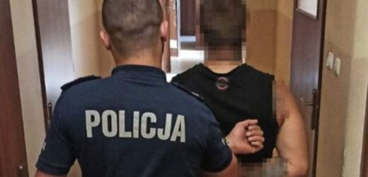Uderzył kobietę, ubliżał policjantom. Trafi do więzienia na ponad 5 lat