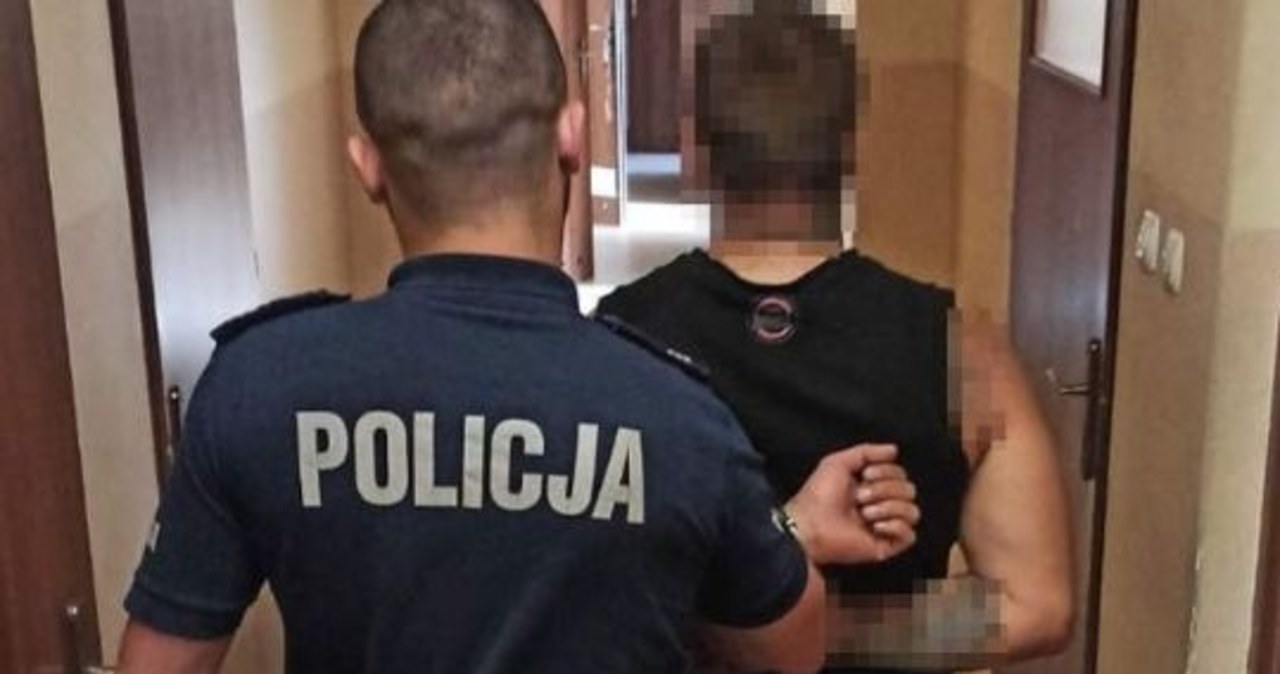 Uderzył kobietę, ubliżał policjantom. Trafi do więzienia na ponad 5 lat
