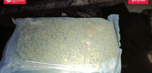 Służby udaremniły przemyt 40 kg marihuany wartej 2 mln złotych