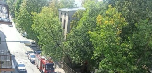 Przejechał 8-latkę leżącą na kocu. Dziecko zmarło