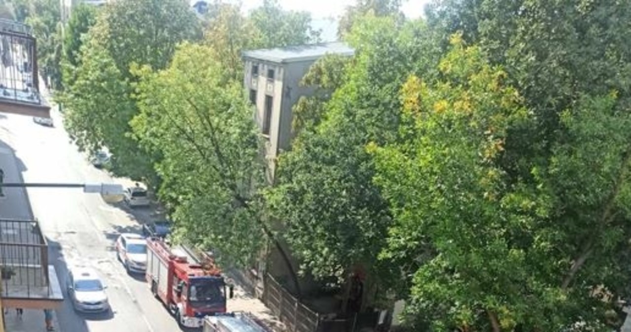 Przejechał 8-latkę leżącą na kocu. Dziecko zmarło