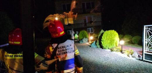 Rój os zaatakował mężczyznę. Gniazdo znajdowało się w ziemi