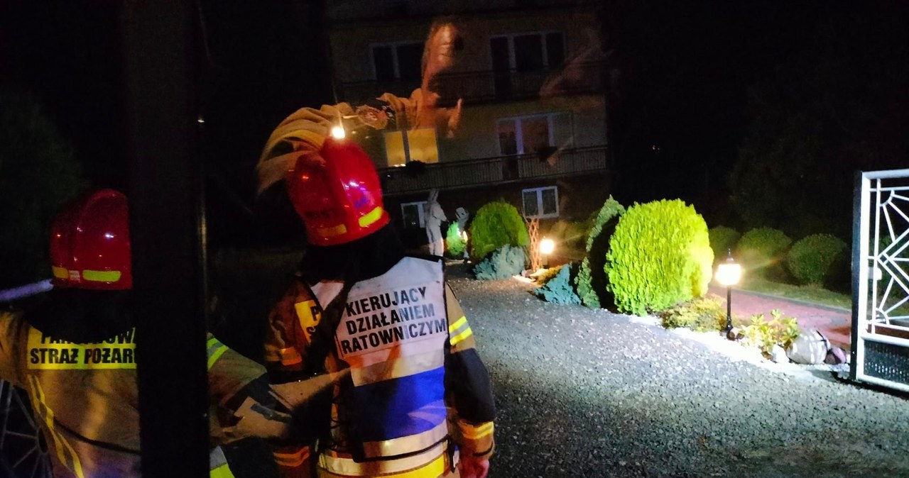 Rój os zaatakował mężczyznę. Gniazdo znajdowało się w ziemi