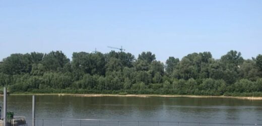 Niski stan wody w Wiśle. Nie kursują promy