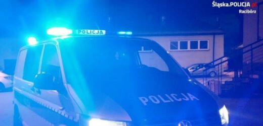 Zabił łopatą psa. Grozi mu 5 lat więzienia