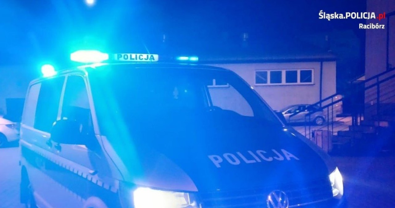 Zabił łopatą psa. Grozi mu 5 lat więzienia