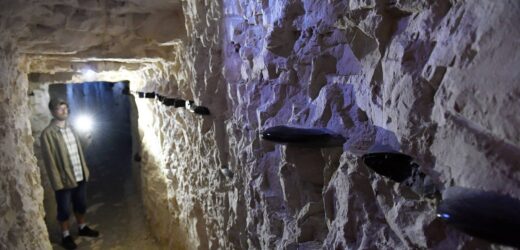 Krzemionki mogą stracić status UNESCO. Powodem działalność kopalni