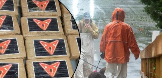 Huragan wyrzucił na plażę kokainę wartą ponad milion dolarów