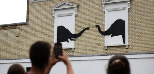 Najpierw koza, teraz słonie. Dwa murale Banksy’ego w przeciągu 24 godzin