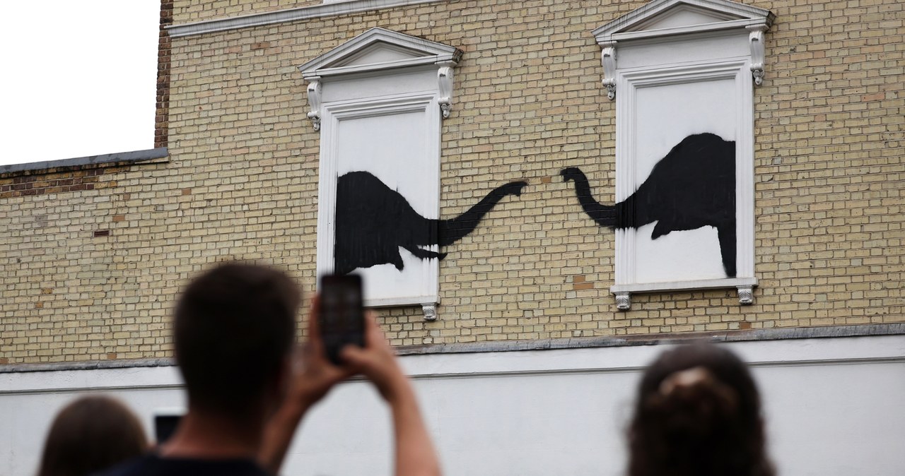 Najpierw koza, teraz słonie. Dwa murale Banksy’ego w przeciągu 24 godzin