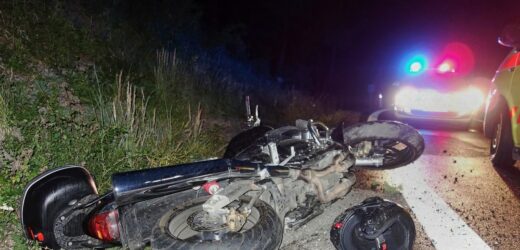Motocyklista zginął po zderzeniu z łosiem