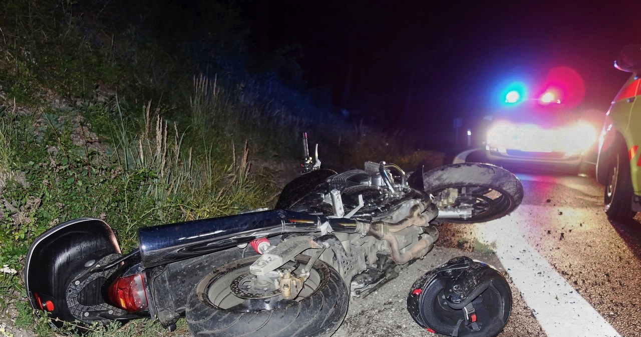 Motocyklista zginął po zderzeniu z łosiem