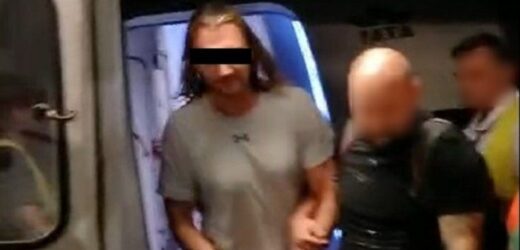 Polak zatrzymany w Paryżu ws. śmiertelnego wypadku usłyszał zarzuty