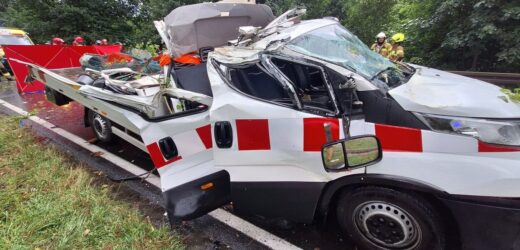 Drzewo spadło na przejeżdżające auto. Tragedia na Dolnym Śląsku