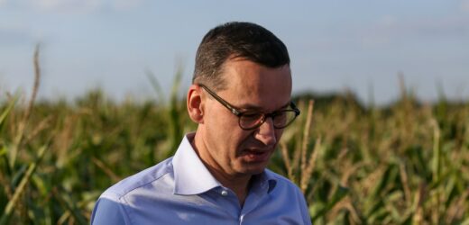 Morawiecki odpowiada Tuskowi: Układ zamknięty rządzi dziś Polską