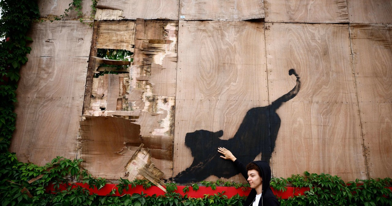 Sześć murali w sześć dni. Banksy znów zaskakuje