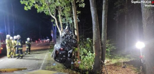 Samochód roztrzaskany na drzewie. Nie żyje 11-latka