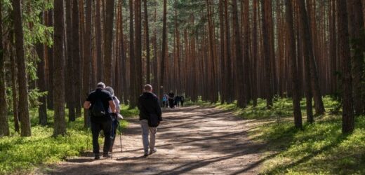 Nowoczesne uzdrowisko w środku lasu. Perła ukryta na Kujawach
